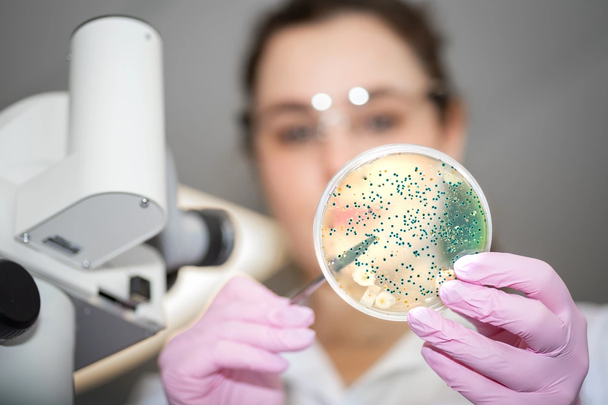 16S vs shotgun metagenomic sequencing