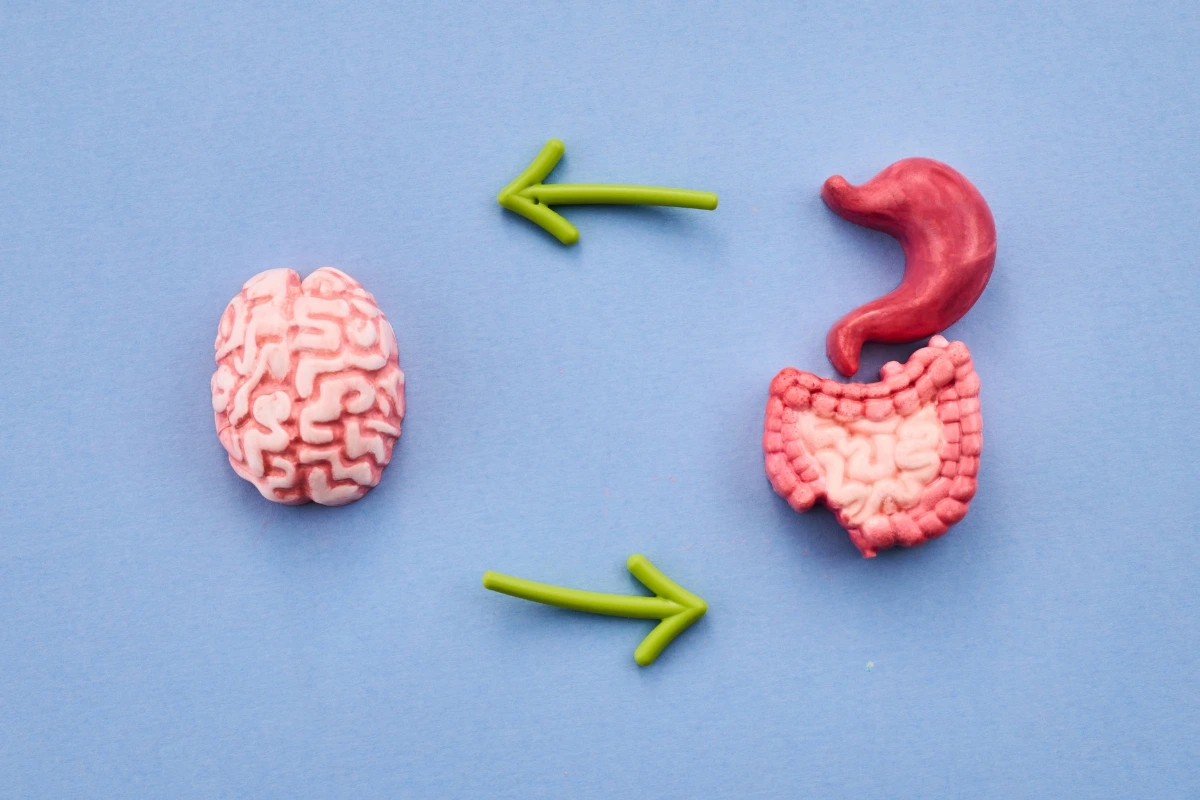 Why Canadians Are Searching for a Gut Health Test