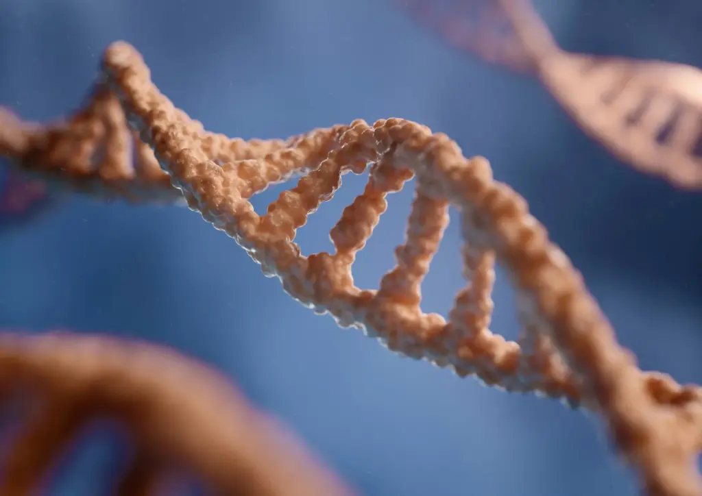 genetic methylation test canada
