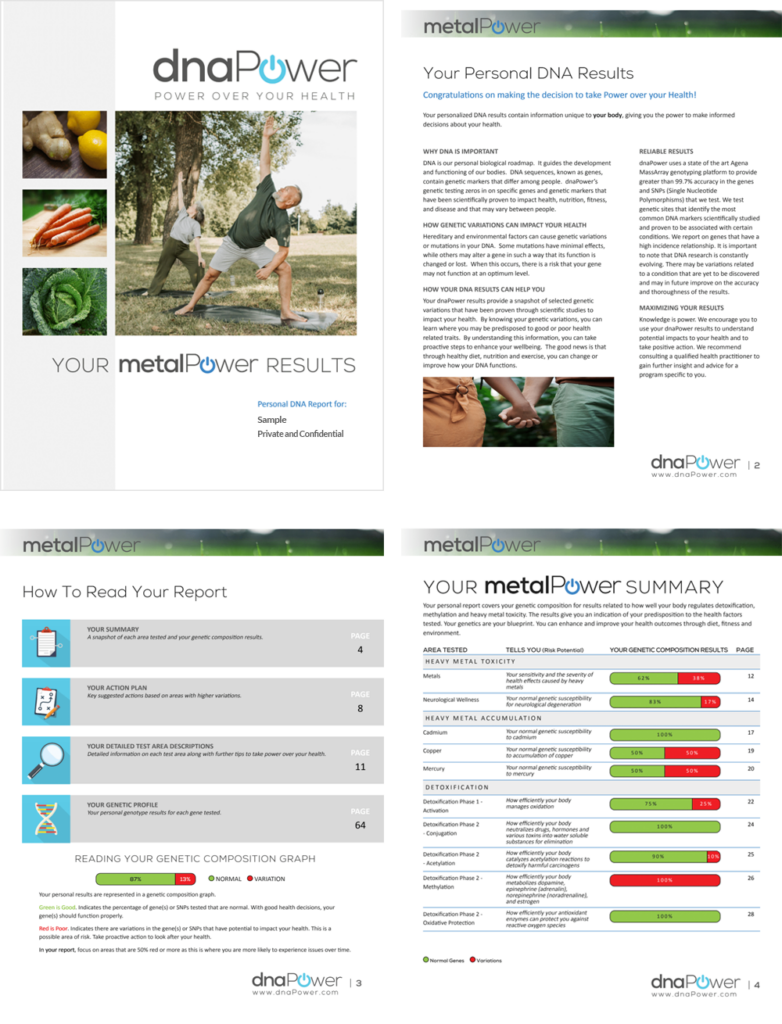 metalPower summary sample Report