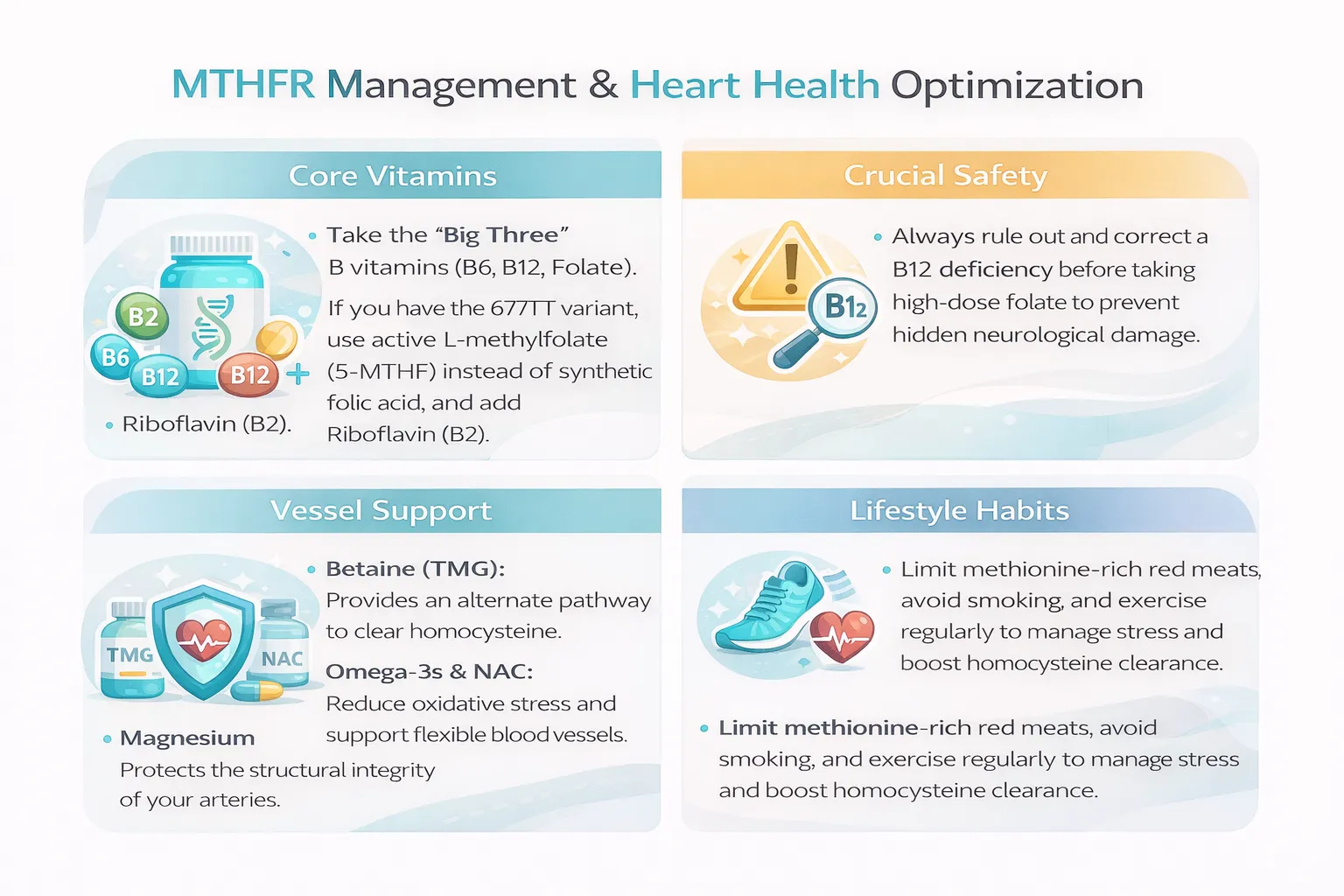 Heart Health Optimization Strategies
