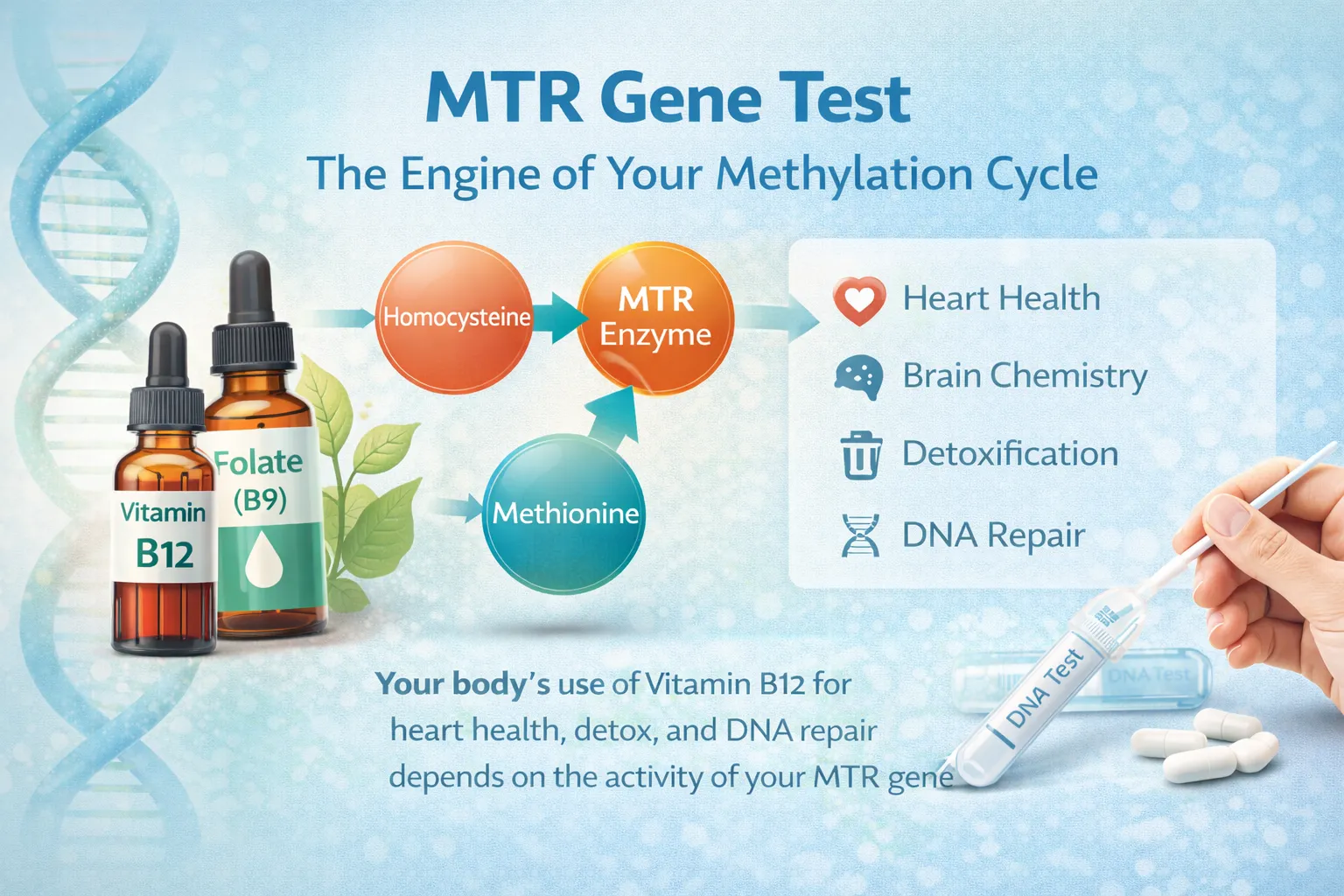 MTR Gene Test